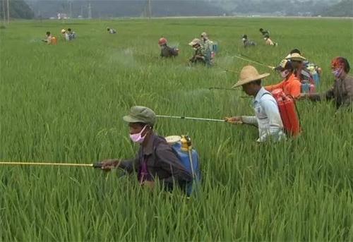 農藥殘留檢測儀 農藥殘留檢測儀